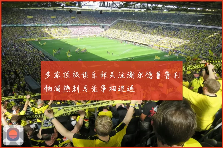 多家顶级俱乐部关注谢尔德鲁普利物浦热刺马竞争相追逐